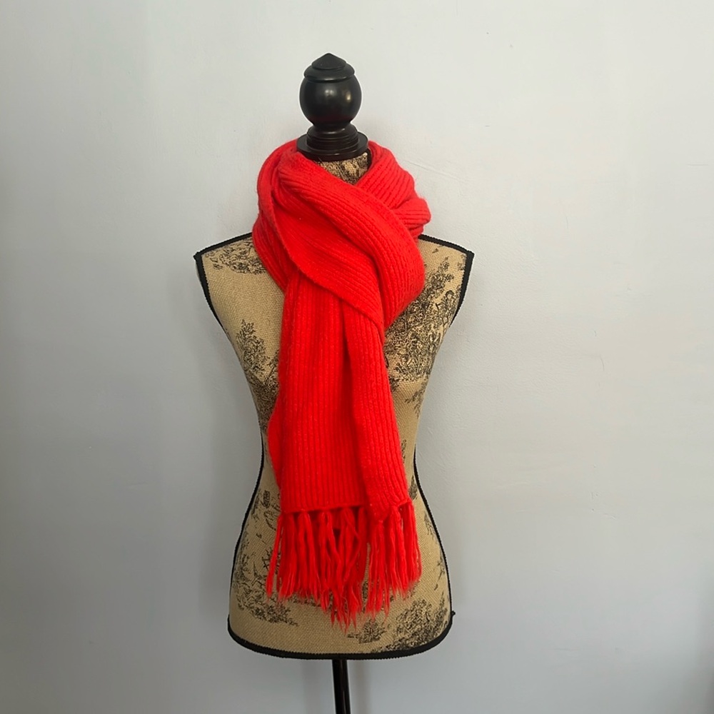 Anthropologie Fringe Scarf